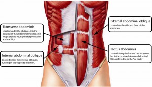 How To Exercise The Obliques-The Most Effective Ways