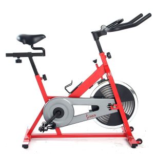 Sunny Health and Fitness SF-B1001 Indoor Cycling Bike Review