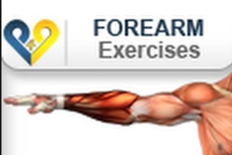 forearm muscle building exercises