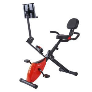 schwinn airdyne ad2i review