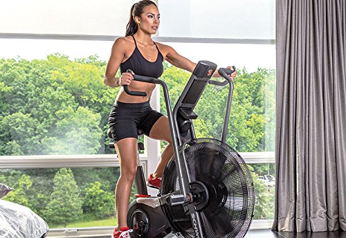 Schwinn Airdyne Pro Exercise Bike is ridden by a woman