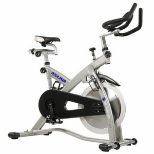 schwinn ad2 airdyne bike review