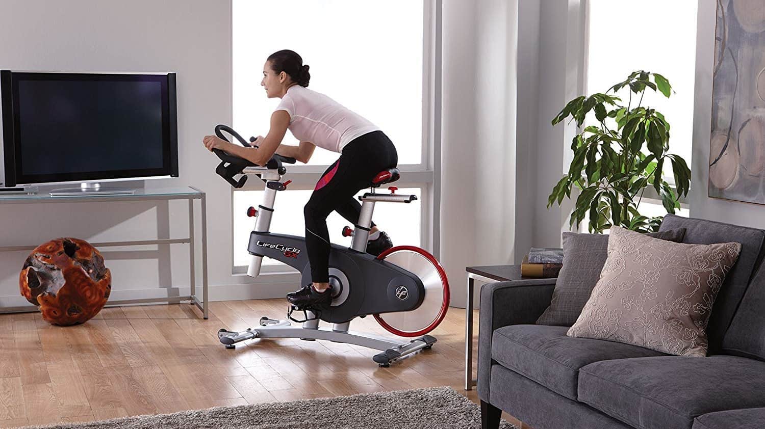 life fitness cycle bike