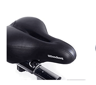 Pooboo Pro Indoor Belt Drive Exercise Bike with Dumbbells Model D770 