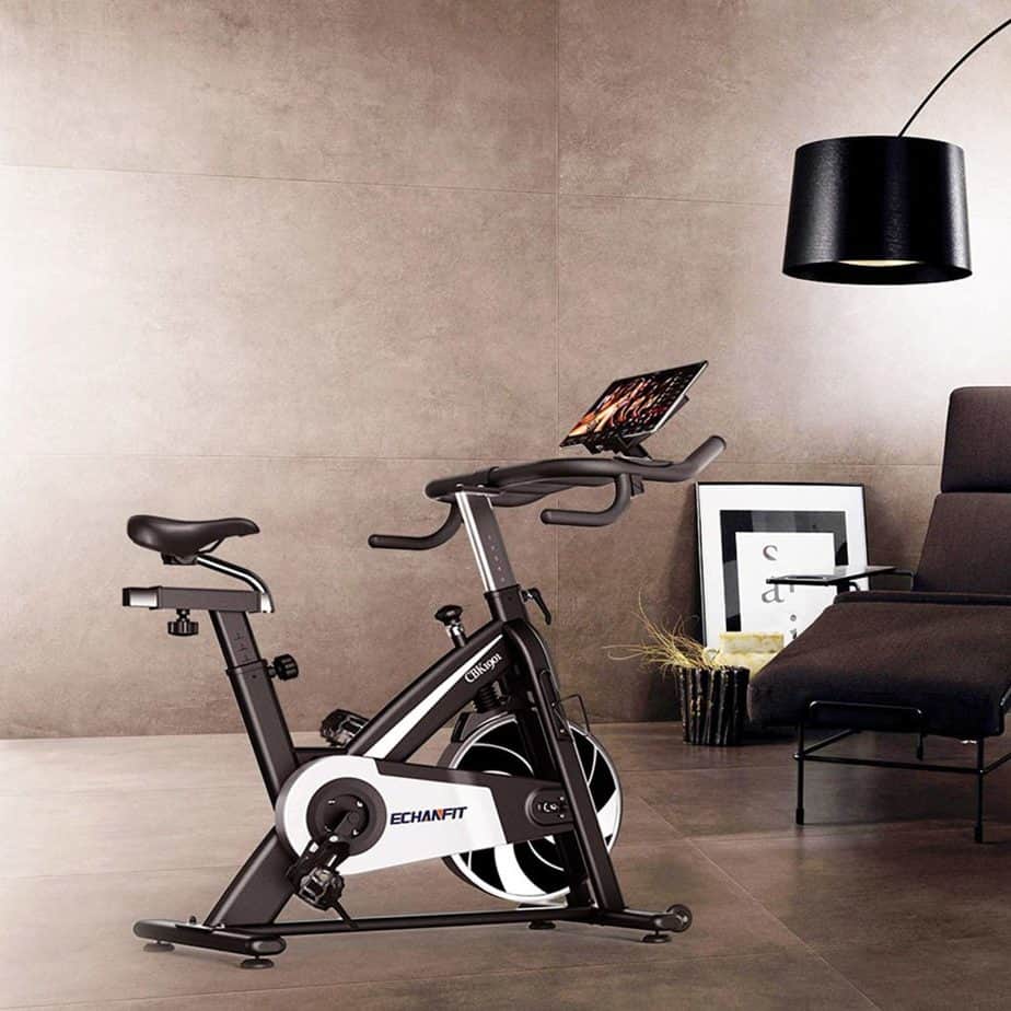 ECHANFIT Magnetic Indoor Exercise Cycling Bike (CBK 1901)