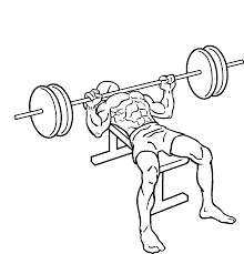 Man is bench pressing with a barbel