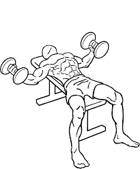 Lying dumbbell fly