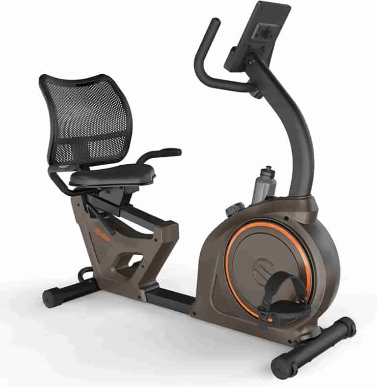Niceday Indoor Recumbent Bike Review