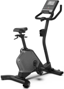 Schwinn 190 Upright Bike