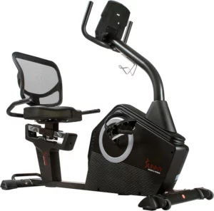 The image of the Sunny Health & Fitness SF-RB4850 Recumbent Bike