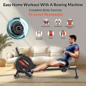 A man exercises on the Wenoker Magnetic Rowing Machine while several muscle groups are shown